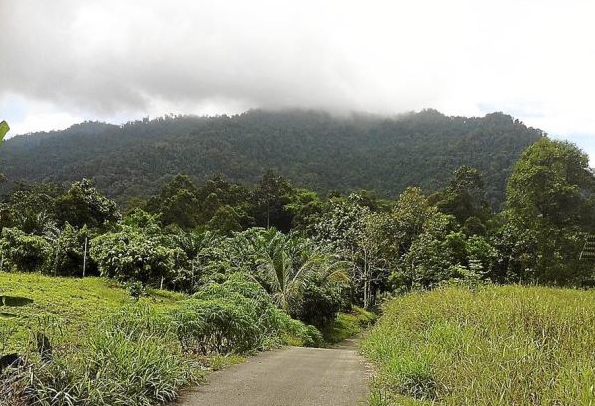 Sacred Mount Sadung 