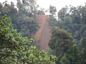 Tanah tusur ti balat di serata Baram dibai pengawa salah kompeni kayu batang – 90% ari penanggul tu datai ari pengawa ngulihka kayu batang ti enda betagang