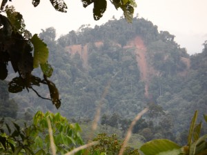 Gaya rampa menua di Baram kemaya hari tu, ti dulu menya enda ulih semekih pemanah iya