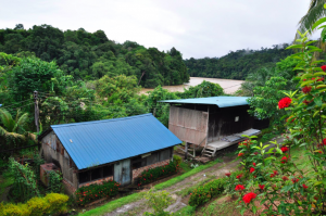 Long San - one of the villages due to be washed away if Baram Dam is built