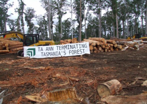 Bala orang ti ngetanka rampa menua ngayanka bantah sida ba pengawa ngerusak rampa kampung bungas di Tasmania