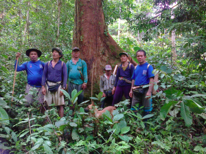 Native villagers are calling for an end to illegal logging in their area and compensation from Isotimber.