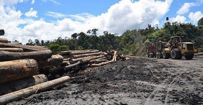 Nama kebuah mar bendar kitai nitihka atur peningkala pengawa ngulihka kayu batang entarabansa?