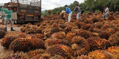 Upah enggau gaji ti kelalu mit ke bala anak kuli ari menua bukai – endang nadai nguntungka orang bansa asal ti bempu menua di Sarawak. Sapa mih ti deka menang ba pengawa dagang tu?