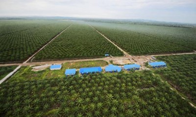 Sekali ke pengawa dagang nya dipejalaika dikena meri penguntung ke orang bansa asal tauka dikena nyukung kompeni ti besai-besai aja