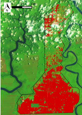 Deforestation (red) and forest degradation (orange) activity of BLD in their concession (dashed line) from 2001 to September 2015
