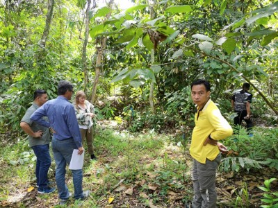 Inspecting recently planted 'climax' tree seedlings designed to speed regrowth of natural canopy forest - perfect for orang utan.