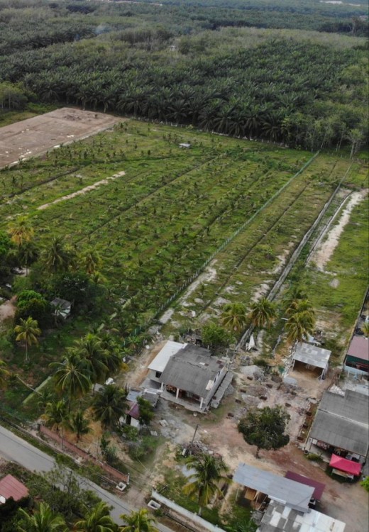 The house in Negeri Sembilan that appears to be Rajagopalu's present residence as cited in IC details.