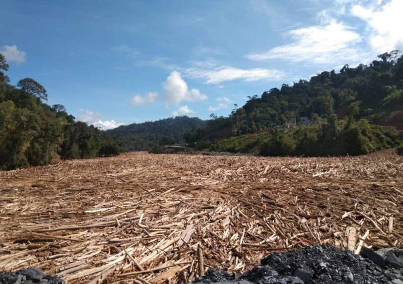 More Destruction Wreaked On Tragic Borneo Thanks To Lawless Greed